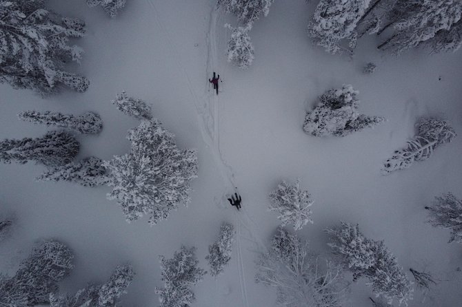 Private Northern Lights Tour With Skis Or Snowshoes in Pyhä - Three hours, three distinct parts