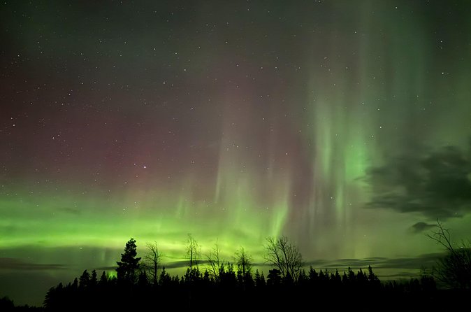 Private Northern Lights Trip To Fill All Your Dreams - Weather, success, and the value of flexibility