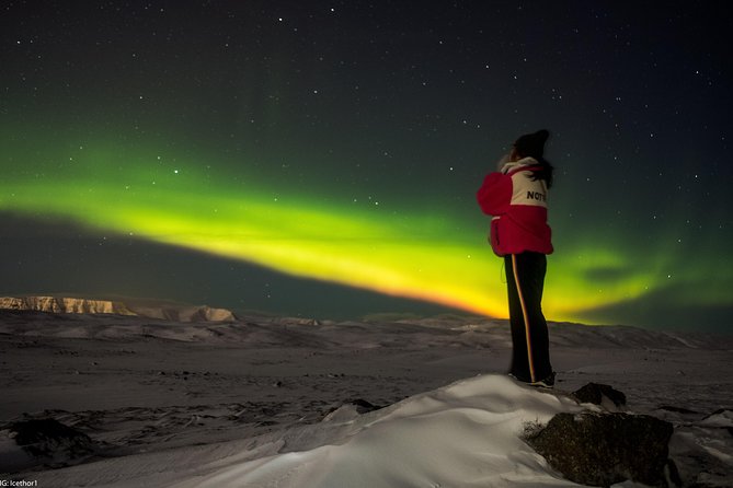 Private Northern lights with photographs - Is $1,440.29 good value for up to four?