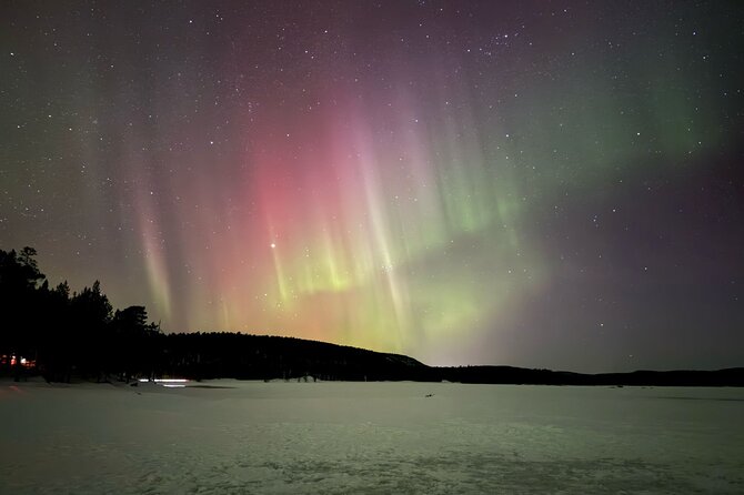 PRO Northern Lights Experience in Rovaniemi - What the aurora viewing can and cannot promise
