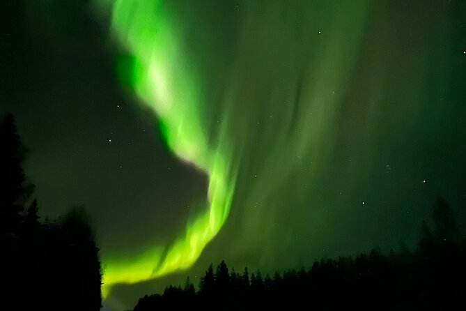 PRO Northern Lights Experience in Rovaniemi - How the three to eight hour duration affects value