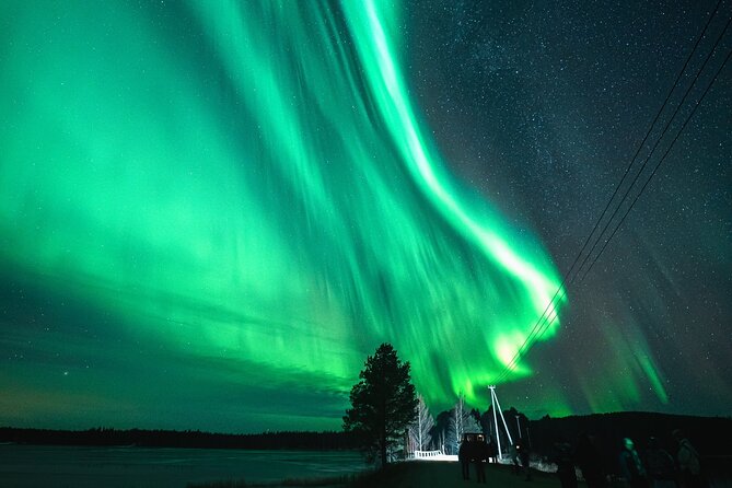 Pyhä-Luosto Northern Lights Adventure with Aurora Viewing - Is $239.09 a fair price?