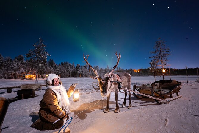 Ranua Lupland Aurora Activity Park – After Dark Adventure - Key points to know before booking