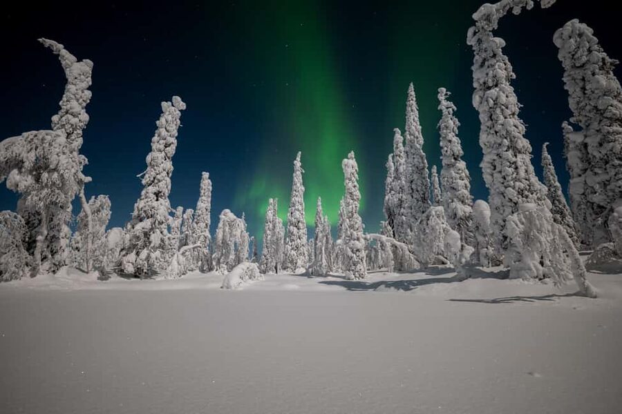 Ranua: Northern Lights tour with Campfire Meal & Pro Camera - Staying warm during a six-hour winter outing