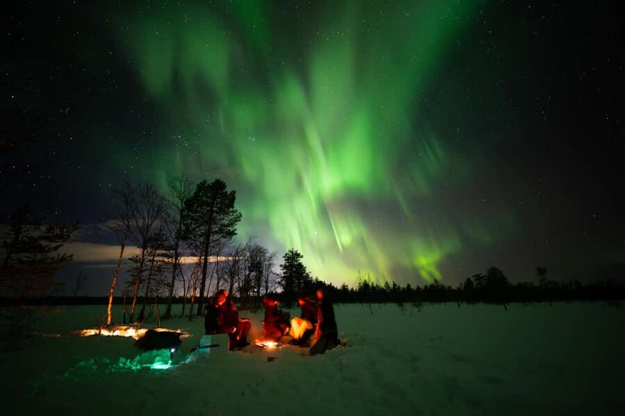 Ranua: Northern Lights tour with Campfire Meal & Pro Camera - Is $317 a fair price for six hours?