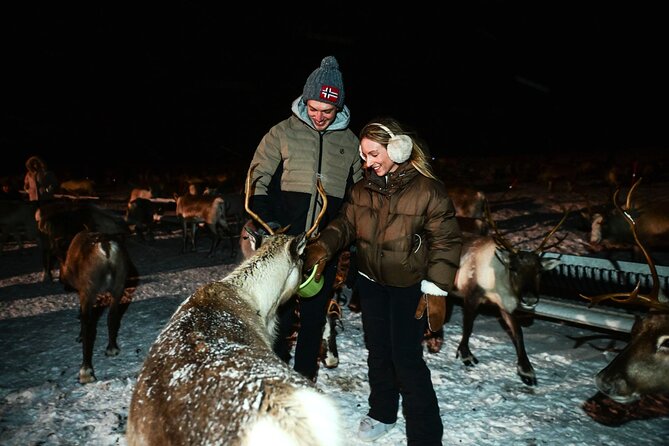 Reindeer Camp Dinner with Chance of Northern Lights in Tromso - The Northern Lights are a bonus, not a promise