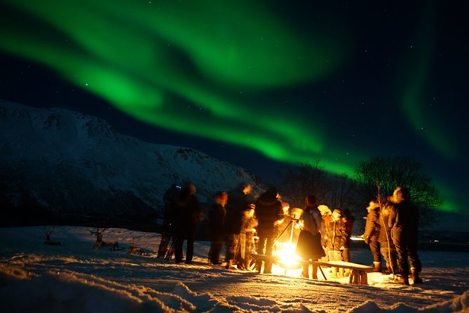 Reindeer feeding & Saami Culture with chance for Northern Lights - The minibus ride from Tromsø