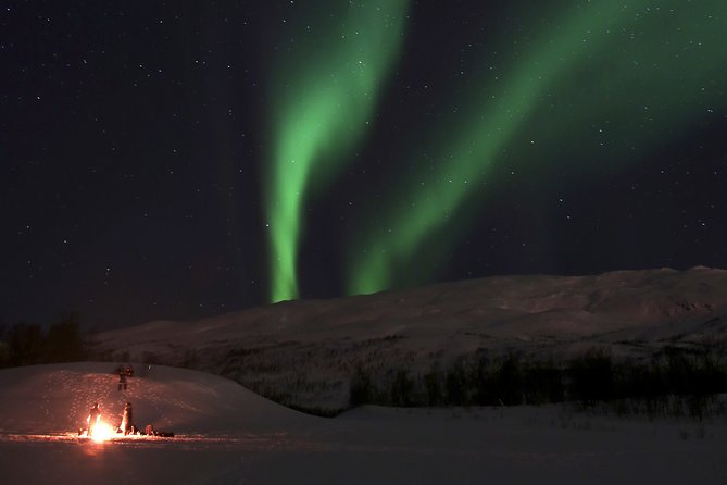 Reindeer feeding & Saami Culture with chance for Northern Lights - Booking and cancellation details worth knowing