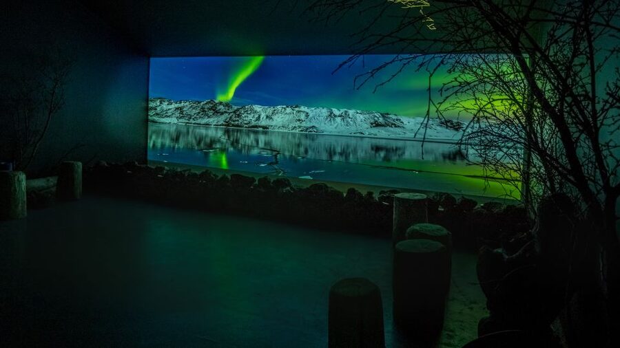 Reykjavik: Aurora Reykjavik The Northern Lights Center Entry - The 30-Minute Film in the Aurora Theater