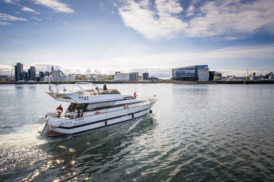 Reykjavík: New Year's Eve Northern Lights Yacht Cruise - Why this cruise is different on New Year’s Eve