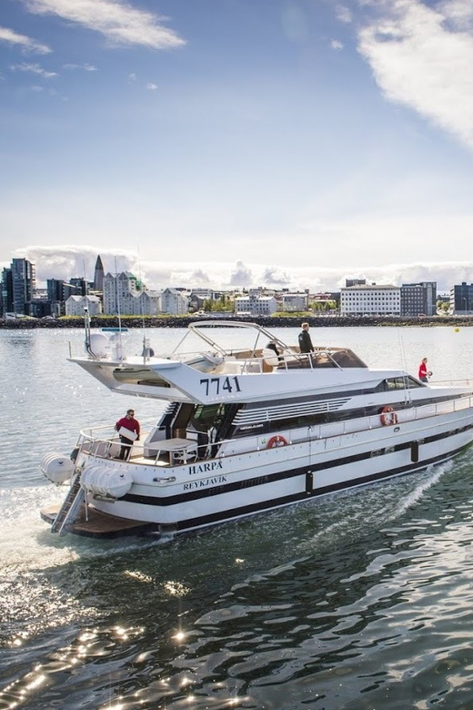 Reykjavík: New Year's Eve Northern Lights Yacht Cruise - What the $140 price buys you