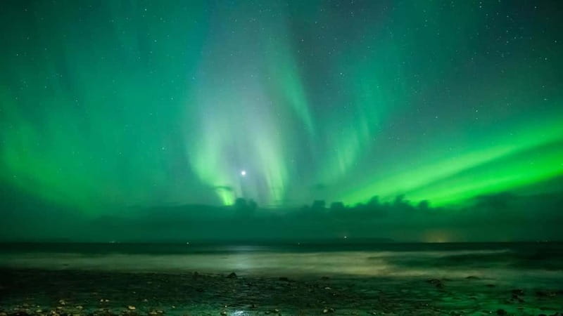 Reykjavik: Northern Lights Adventure Tour with Hot Chocolate - Starting in Reykjavik: pickup details matter