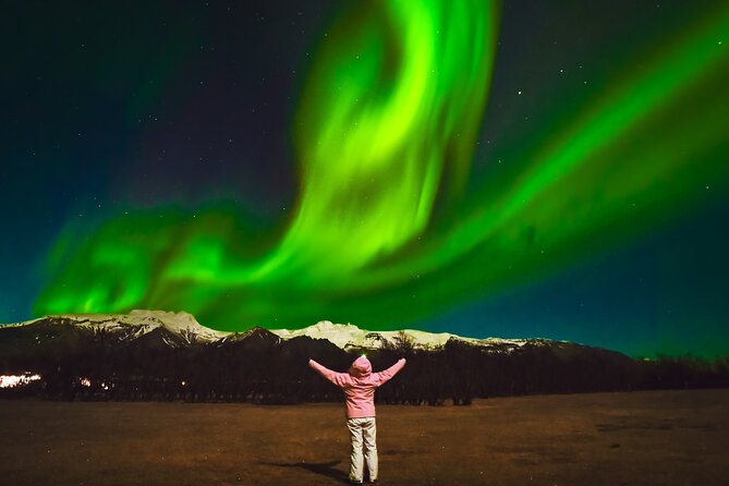 Reykjavik: Northern Lights Comfort Coach with Surprise - Is $67.50 good value?