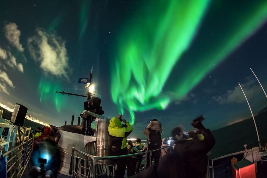 Reykjavik: Northern Lights Guided Boat Tour - Key points to know before you book