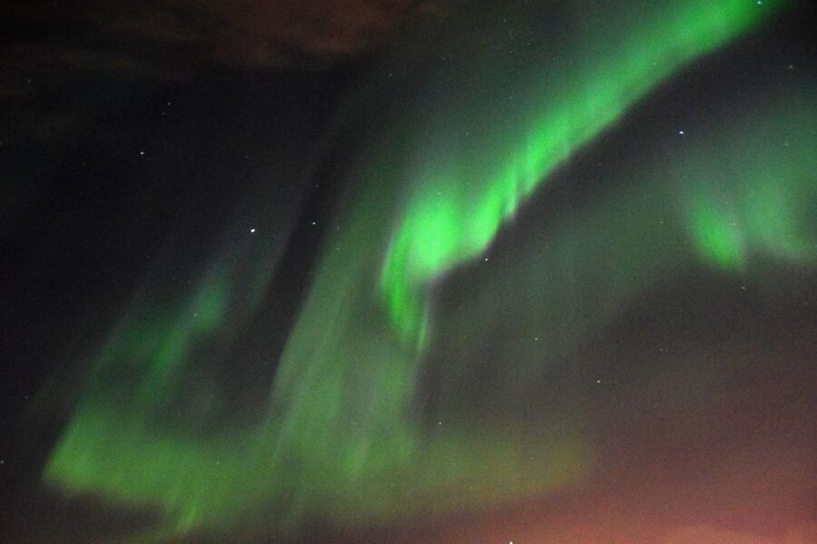 Reykjavik: Northern Lights Guided Boat Tour - The return-ticket policy gives the price more weight