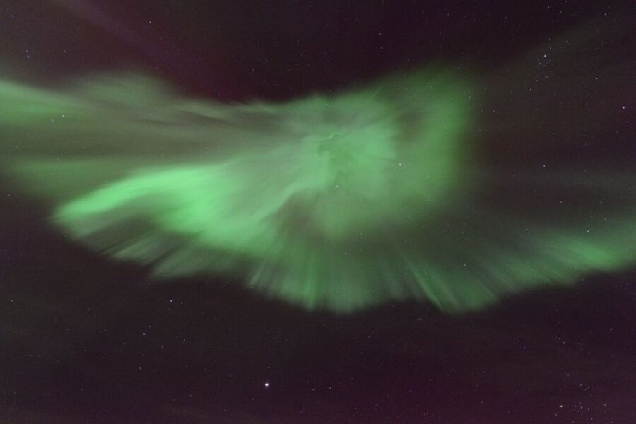 Reykjavik: Northern Lights Motor Yacht Cruise - How the $99 price measures up