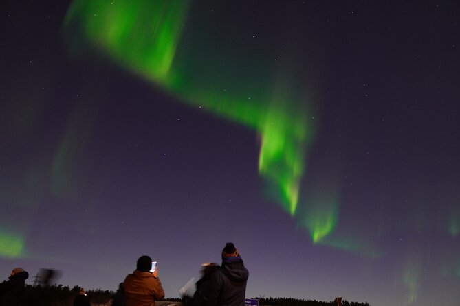 Reykjavik Northern Lights Tour with Pro Aurora Photos Small Group - The price and what you get for $148.50