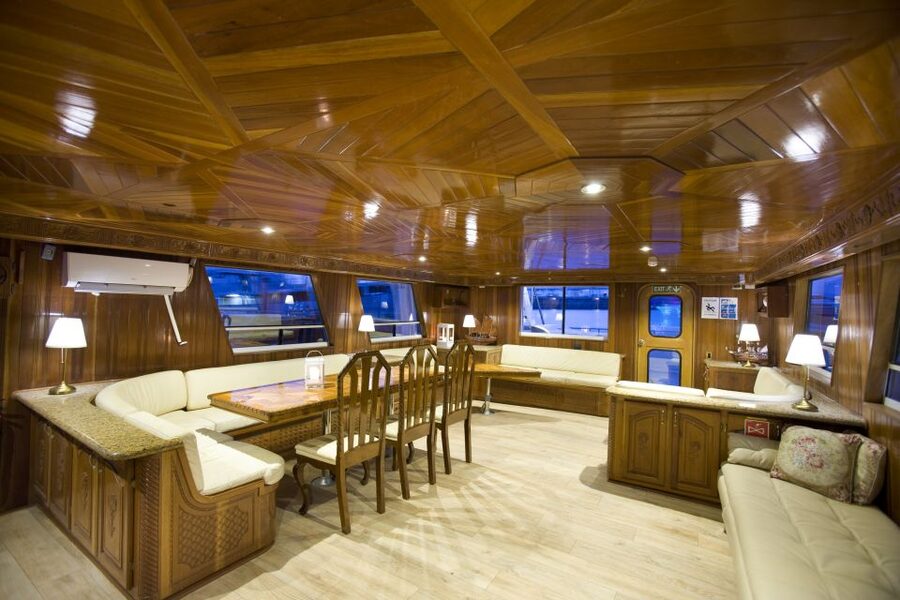 Reykjavik: Northern Lights Yacht Tour - What the Northern Lights May Look Like