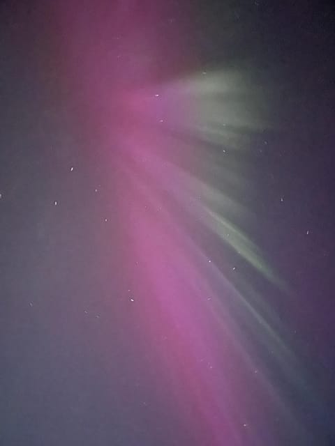 Reykjavik: Small-Group Northern Lights Tour with Pickup - What your guide adds to the evening