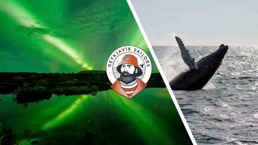 Reykjavik: Whale Watching & Northern Lights Combo Cruise - Key points before you book