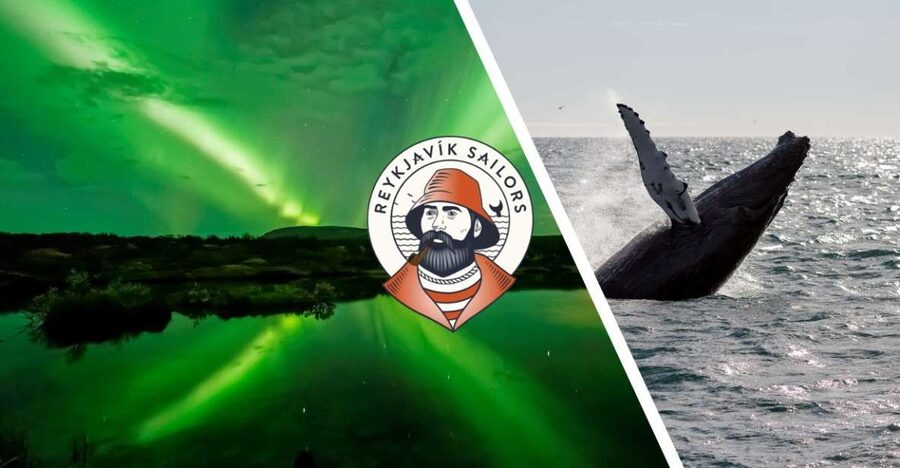 Reykjavik: Whale Watching & Northern Lights Combo Cruise - Faxaflói Bay in daylight