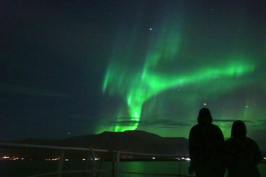 Reykjavik: Whales and Northern Lights Boat Tour - Practical booking advice
