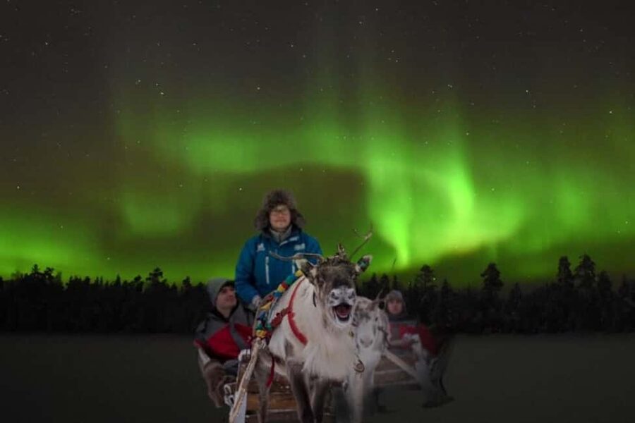Rovaniemi: 2km Aurora Reindeer Safari Through the Forest - Settling into the reindeer sleigh