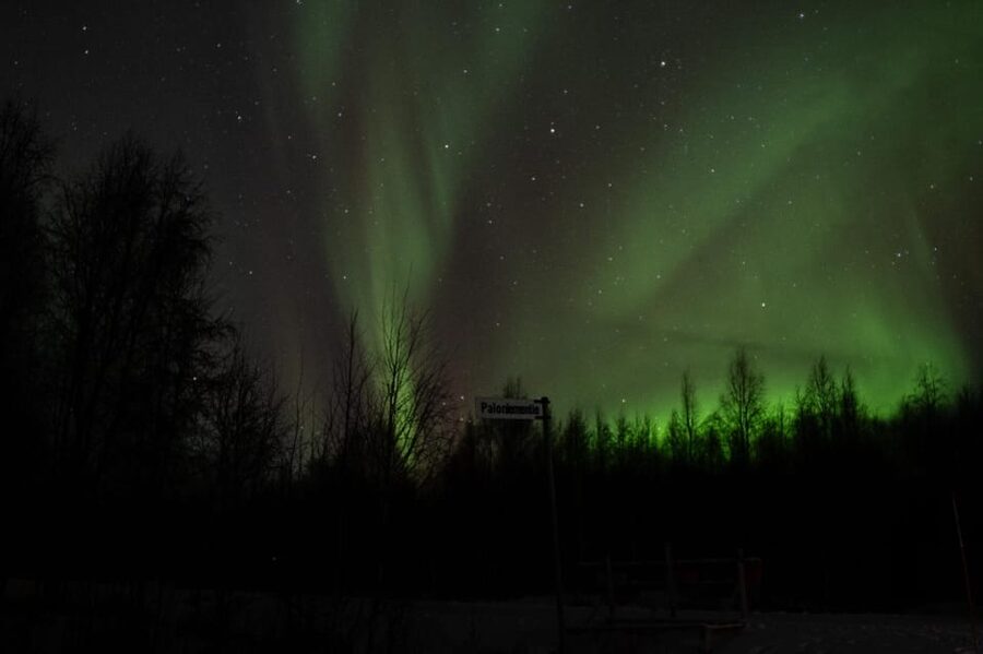 Rovaniemi: 97.3% Success Rate Aurora Group Tour with Photos - The 7:00 PM departure from Korkalonkatu 23