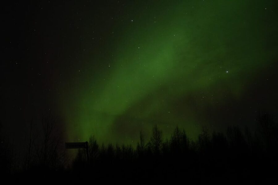 Rovaniemi: 97.3% Success Rate Aurora Group Tour with Photos - Following the clearest sky for up to eight hours