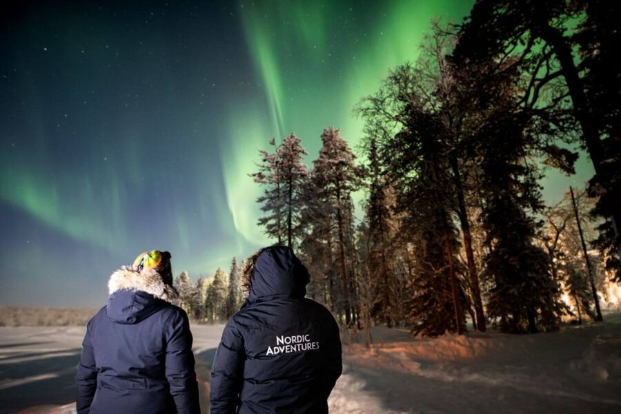 Rovaniemi: Arctic Ice Floating and Northern Lights Tour - Who should book this Arctic outing