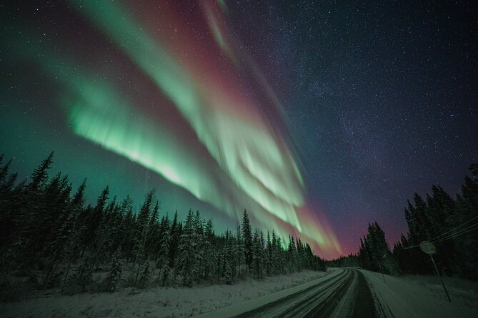 Rovaniemi: Aurora Activity Guarantee - 97% Success Rate Tour - Key points to know before you book