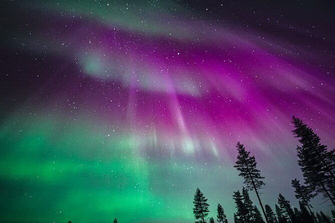 Rovaniemi: Aurora Activity Guarantee - 97% Success Rate Tour - Chasing clear skies from Rovaniemi