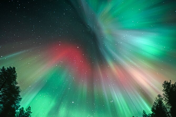 Rovaniemi: Aurora Activity Guarantee - 97% Success Rate Tour - Photos, clothing, and what is actually included
