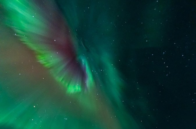 Rovaniemi: Aurora Activity Guarantee - 97% Success Rate Tour - Group size and guide service