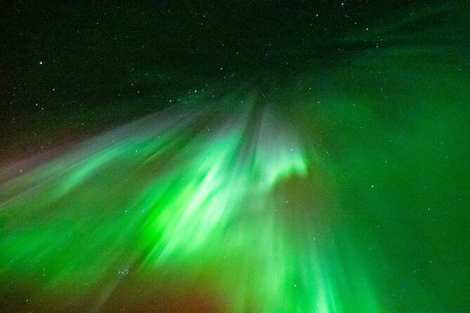 Rovaniemi: Aurora BBQ at the Best Spots - The 8 p.m. schedule and what it means