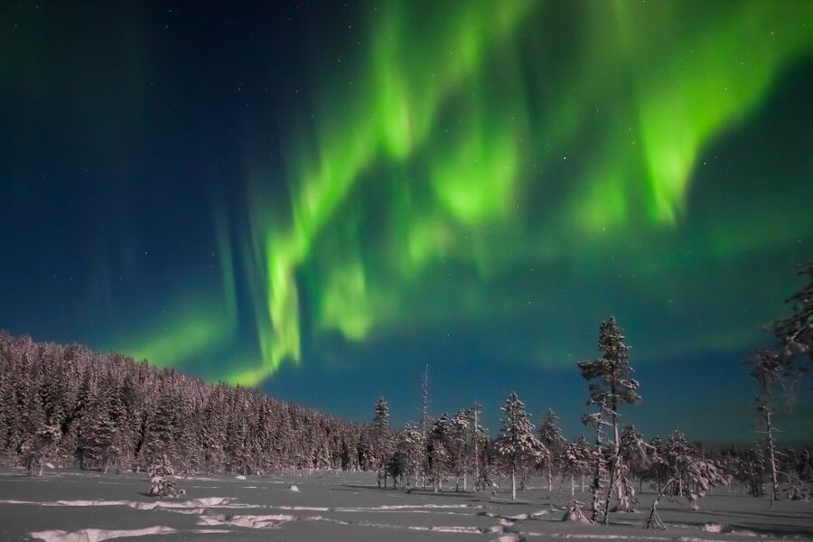 Rovaniemi: Aurora Borealis and Picnic - How much value do you get for $108?