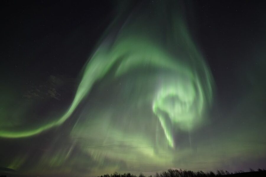 Rovaniemi: Aurora Borealis Tour - Guides who make the difference