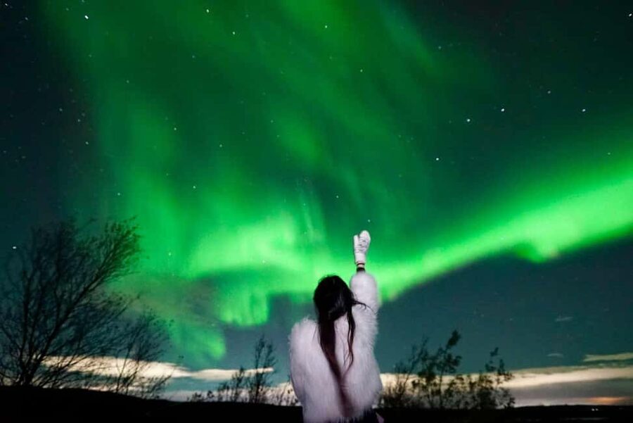 Rovaniemi Aurora Fire & Flavour — Arctic Gastronomy Tour - Key points to know before booking