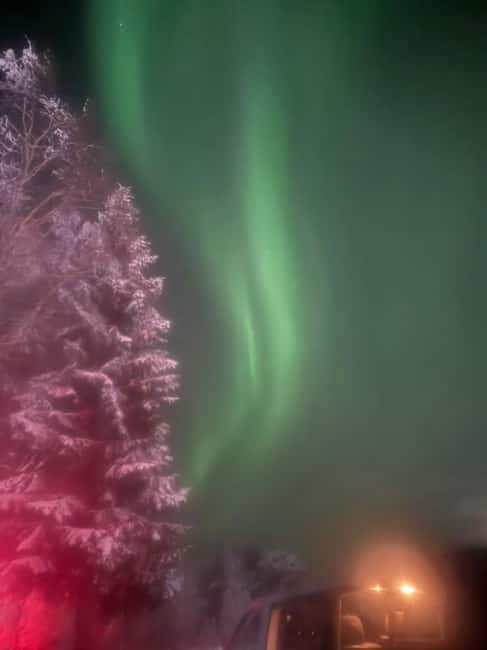 Rovaniemi Aurora Fire & Flavour — Arctic Gastronomy Tour - The kota camp and the Lapland atmosphere