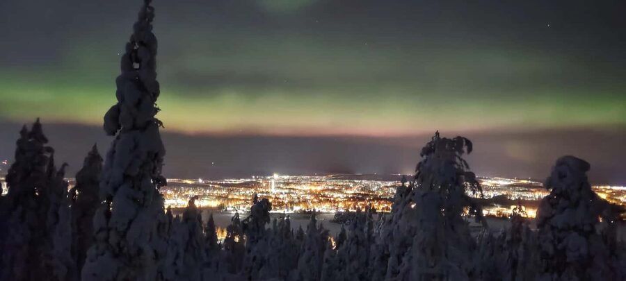 Rovaniemi: Aurora Hunt Snowshoeing Adventure with Guide - Key points to know before booking