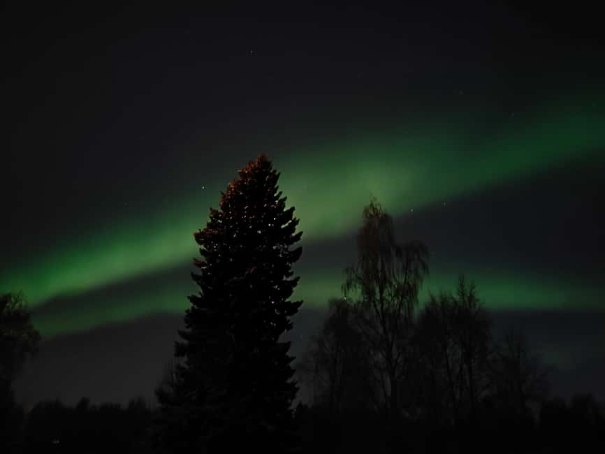 Rovaniemi: Aurora Hunt Snowshoeing Adventure with Guide - What the guide adds to the night