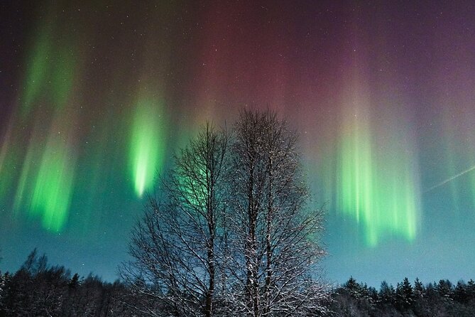Rovaniemi: Aurora Hunt with Photograph & money back guarantee - Key points at a glance