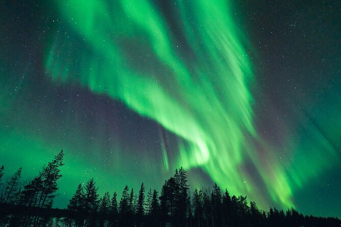 Rovaniemi: Aurora Hunt with Photograph & money back guarantee - Why this is more than a drive outside Rovaniemi