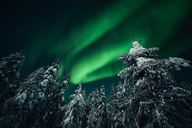 Rovaniemi: Aurora Hunt with Photograph & money back guarantee - What the waiting feels like in real life