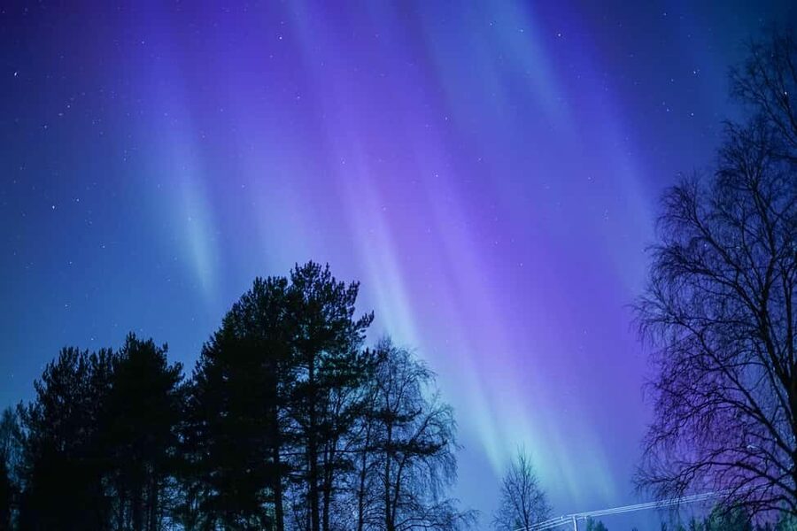 Rovaniemi: Aurora hunting and a fireside BBQ experience - The BBQ beside the fire