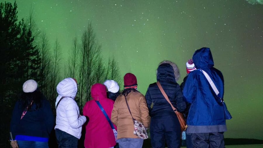 Rovaniemi: Aurora hunting and a fireside BBQ experience - Stories from Lapland, science, and Sámi tradition