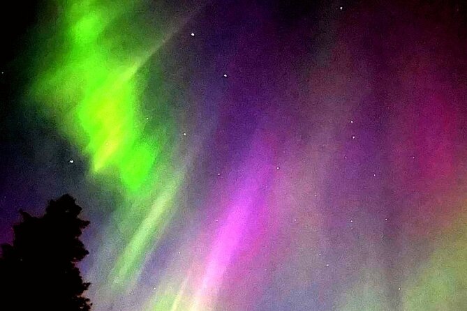 Rovaniemi: Aurora Hunting & Photography Tour - Starting at 7 pm in central Rovaniemi