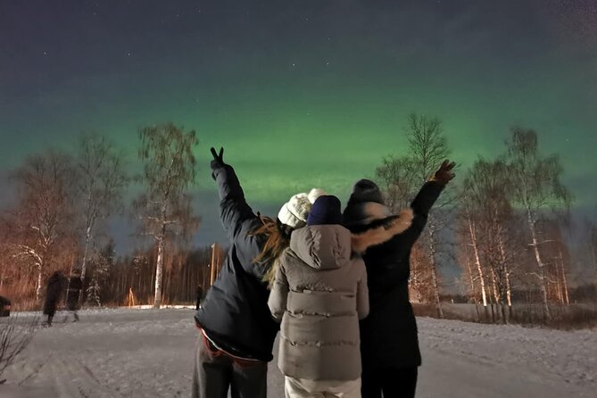 Rovaniemi: Aurora Hunting & Photography Tour - Is $200.01 a fair price?