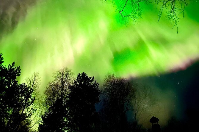 Rovaniemi: Aurora Hunting & Photography Tour - Languages, timing, and practical details