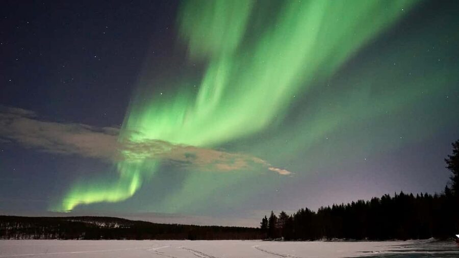 Rovaniemi: Aurora Hunting Photography Tour with Barbeque - Waiting for the Northern Lights